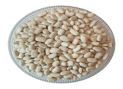 https://shp.aradbranding.com/قیمت خرید لوبیا سفید پلو عمده به صرفه و ارزان